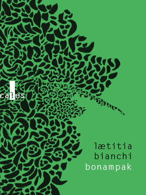 cover image of Bonampak